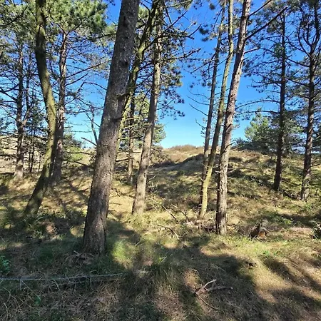 Nyaraló Luxury Retreat Near Romo Kongsmark
